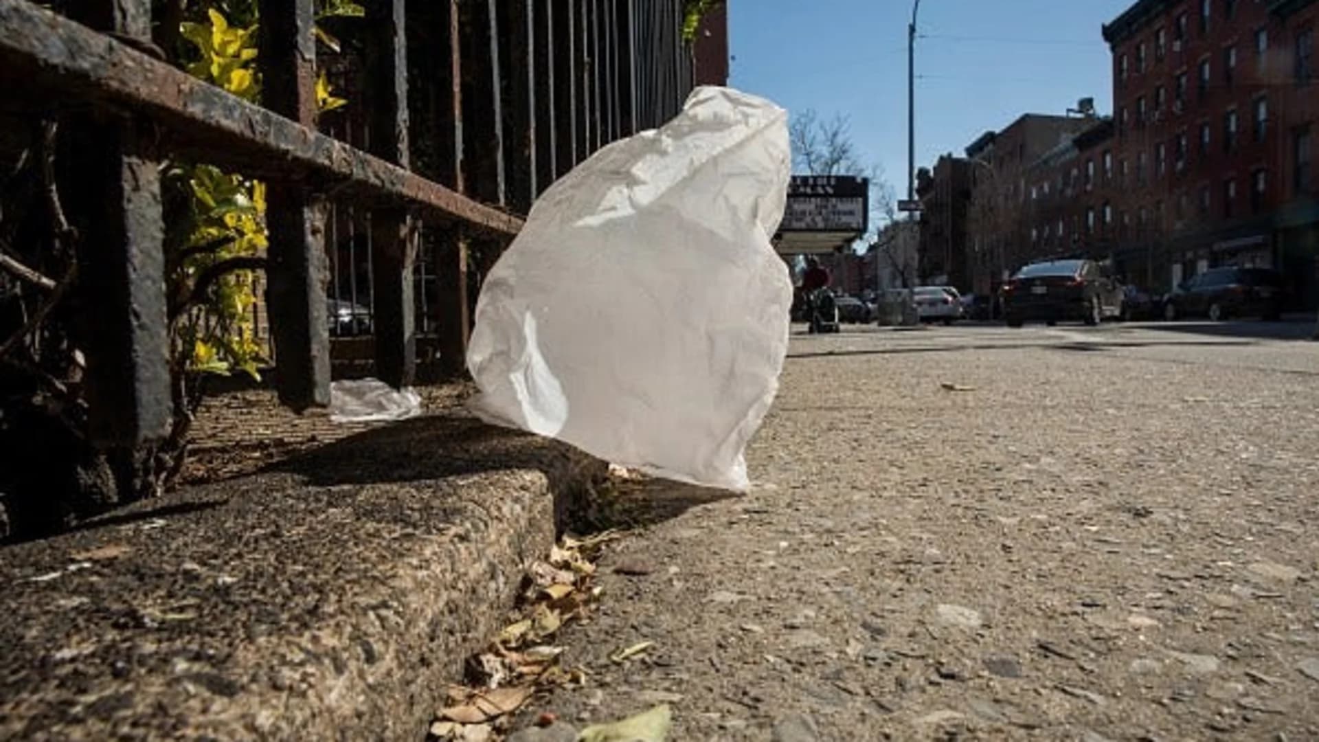 #N12BK: Plastic bag ban