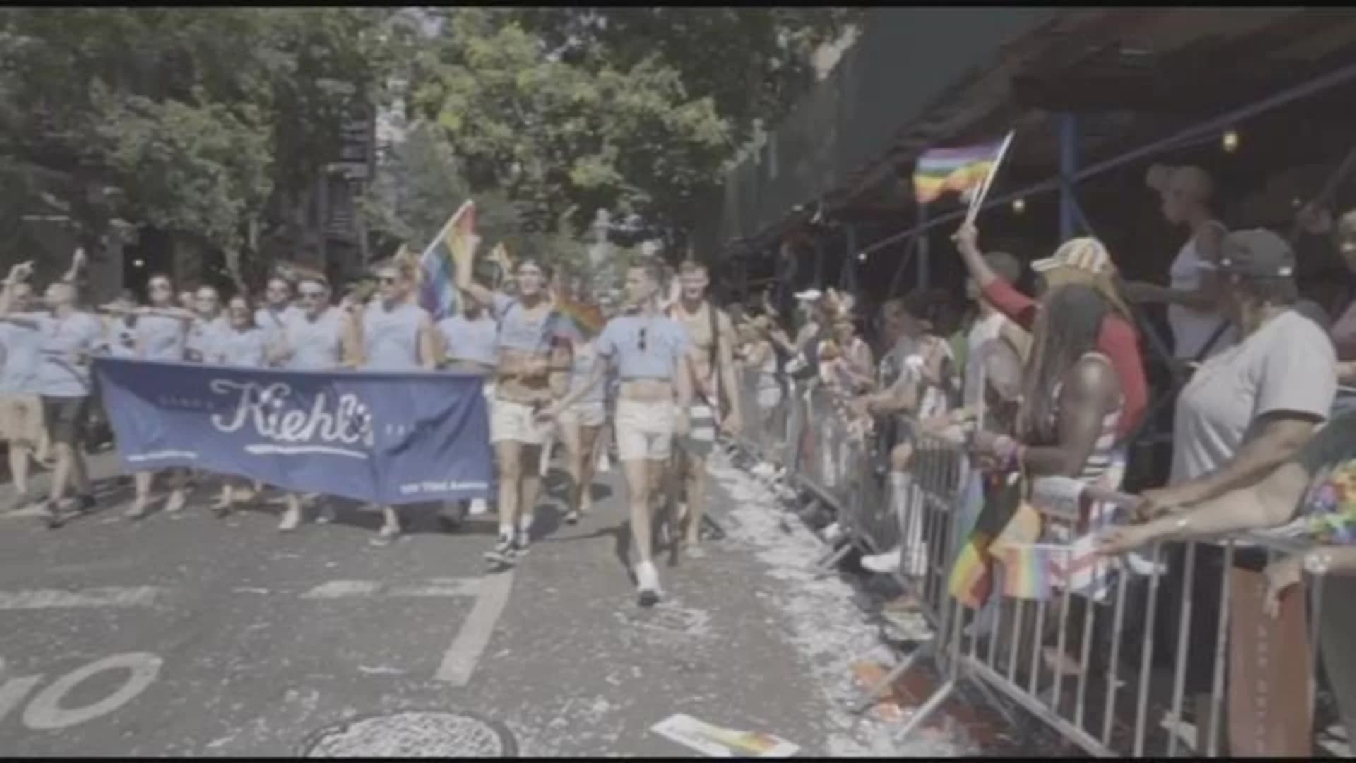 Celebration, defiance on display at New York City pride parade