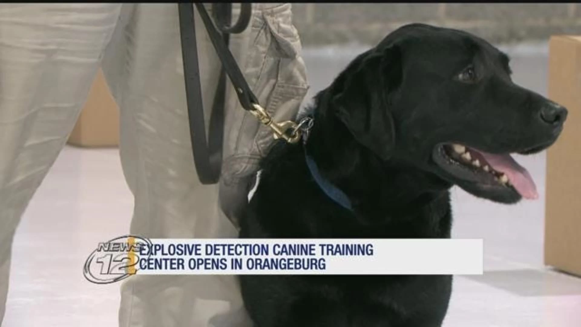 K-9 center in Orangeburg uses live explosives to train dogs
