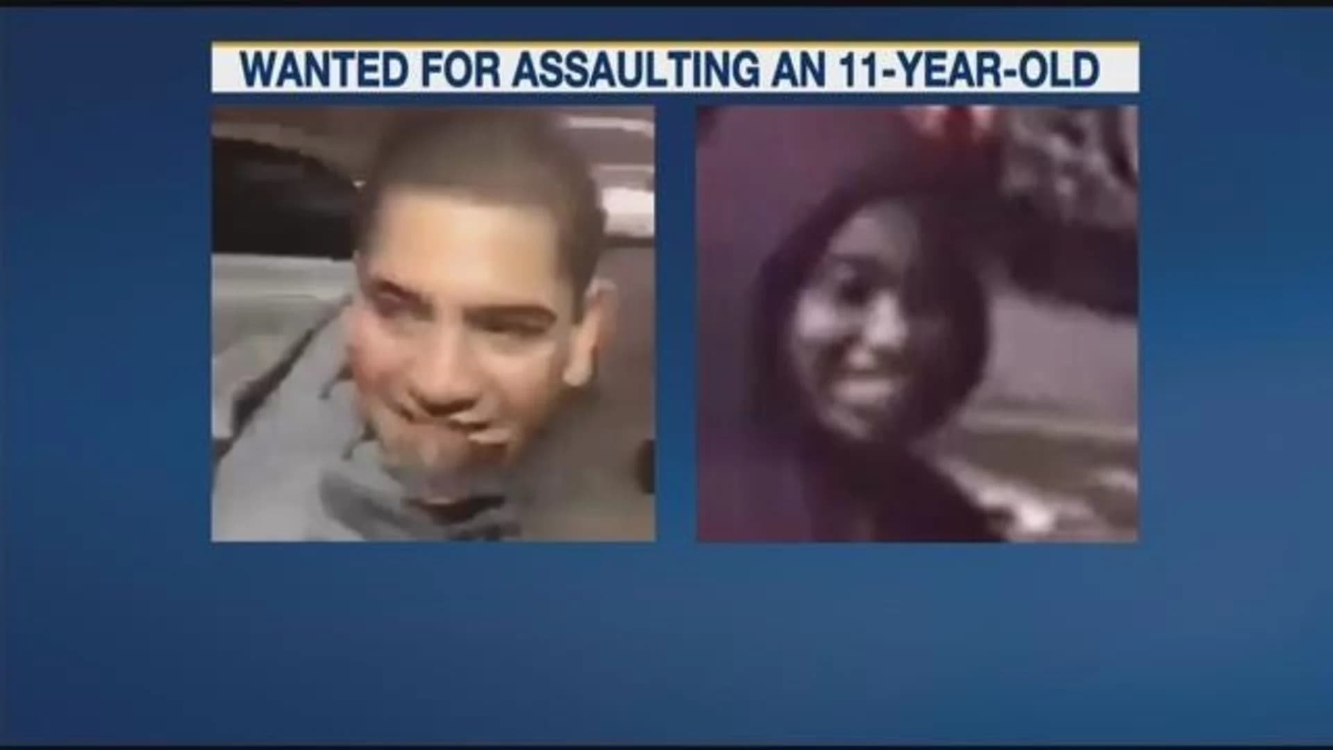 Police arrest teen in attack on 11-year-old girl in Sheepshead Bay