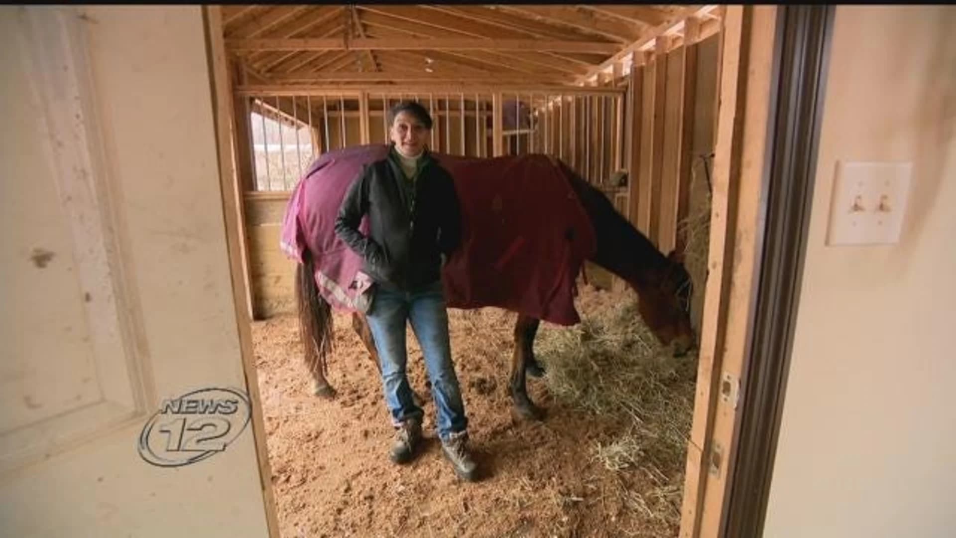 Pony Sitters program gives children hands-on experience with horses