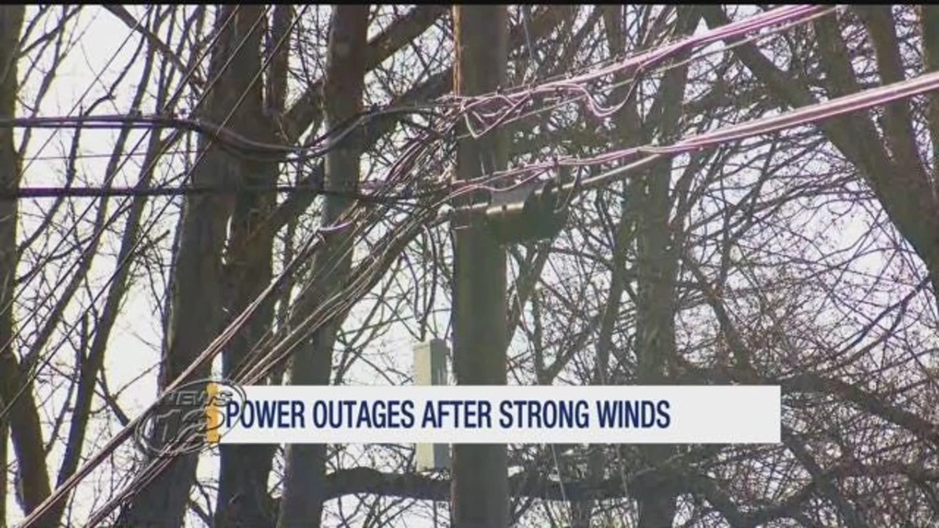 Pressure on utility companies could have role in quick power restoration