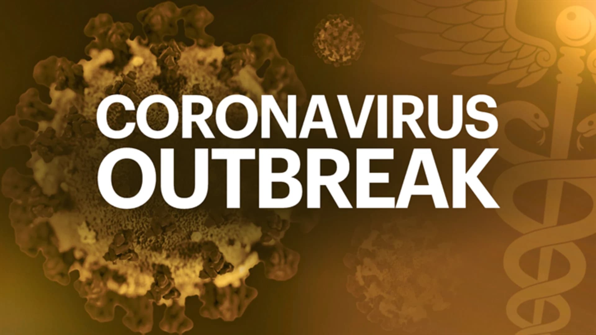 Mayor Bill de Blasio holds news conference on suspected coronavirus case - Live Video