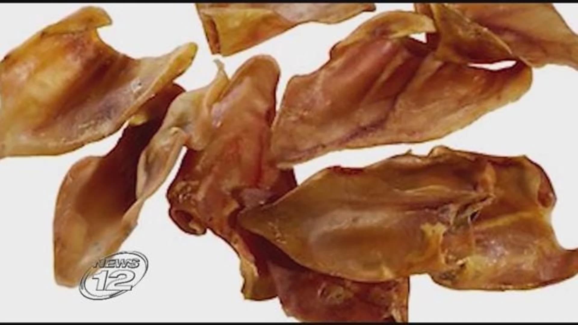 CDC issues warning about feeding pig ears to dogs
