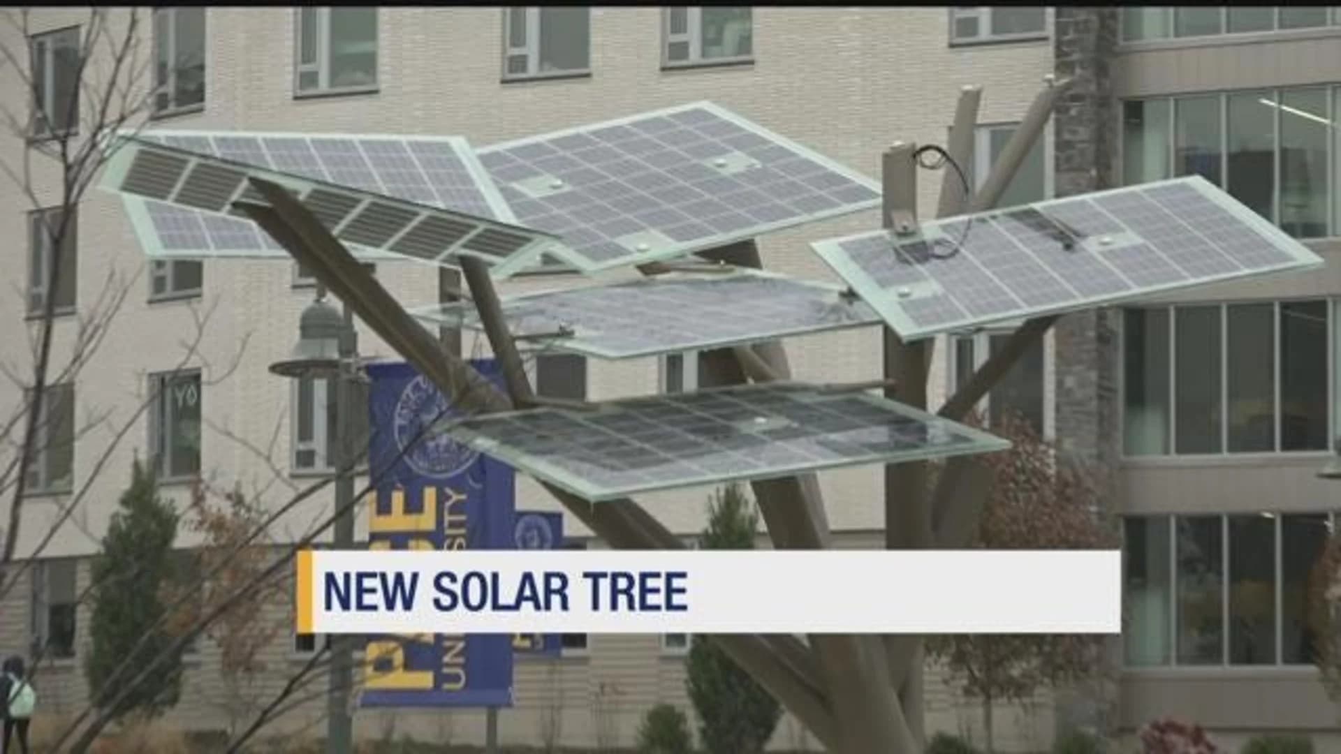 Solar tree at Pace University offers shade, Wi-Fi and more
