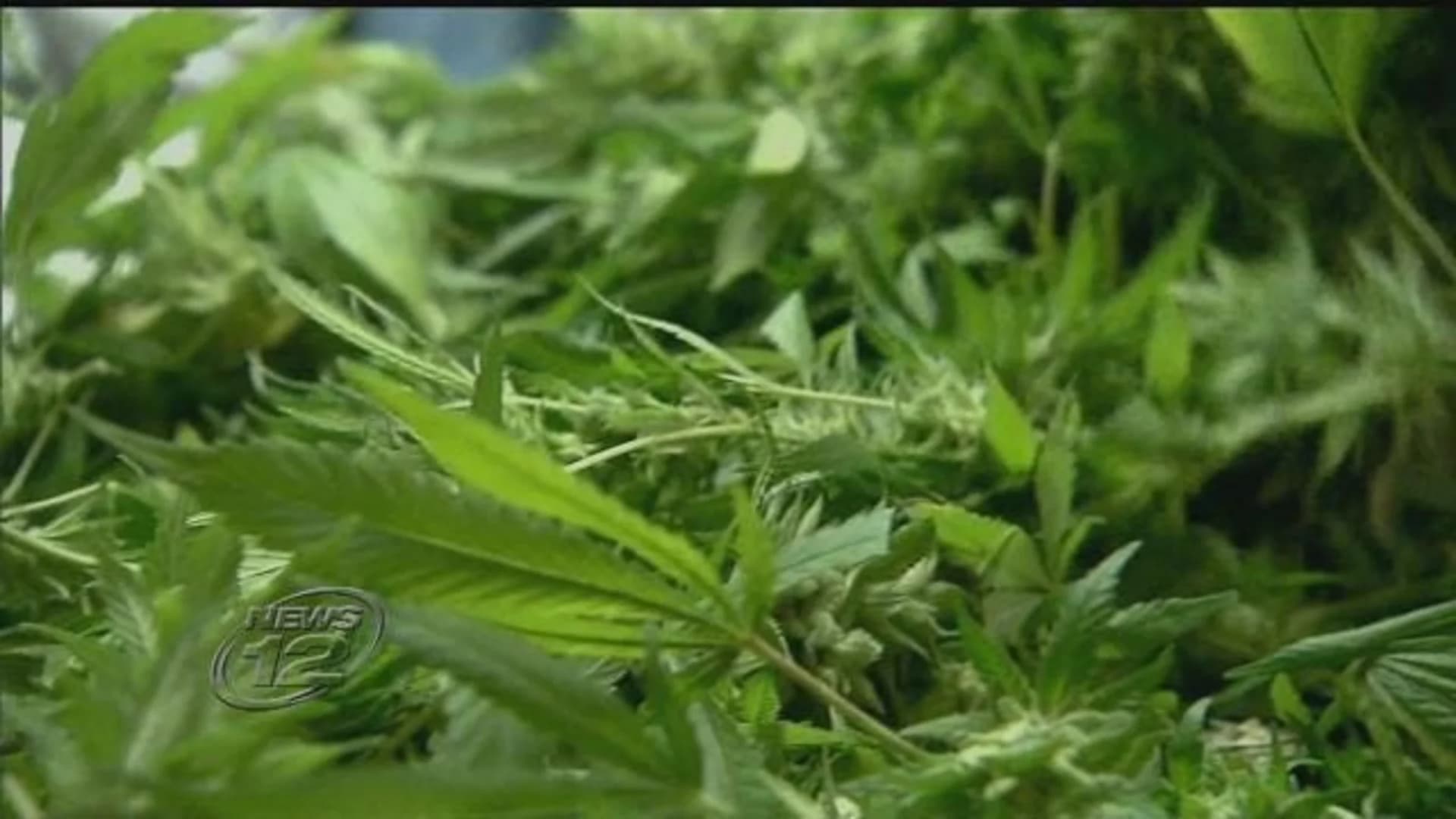 Push for marijuana legalization comes down to wire before legislative session ends