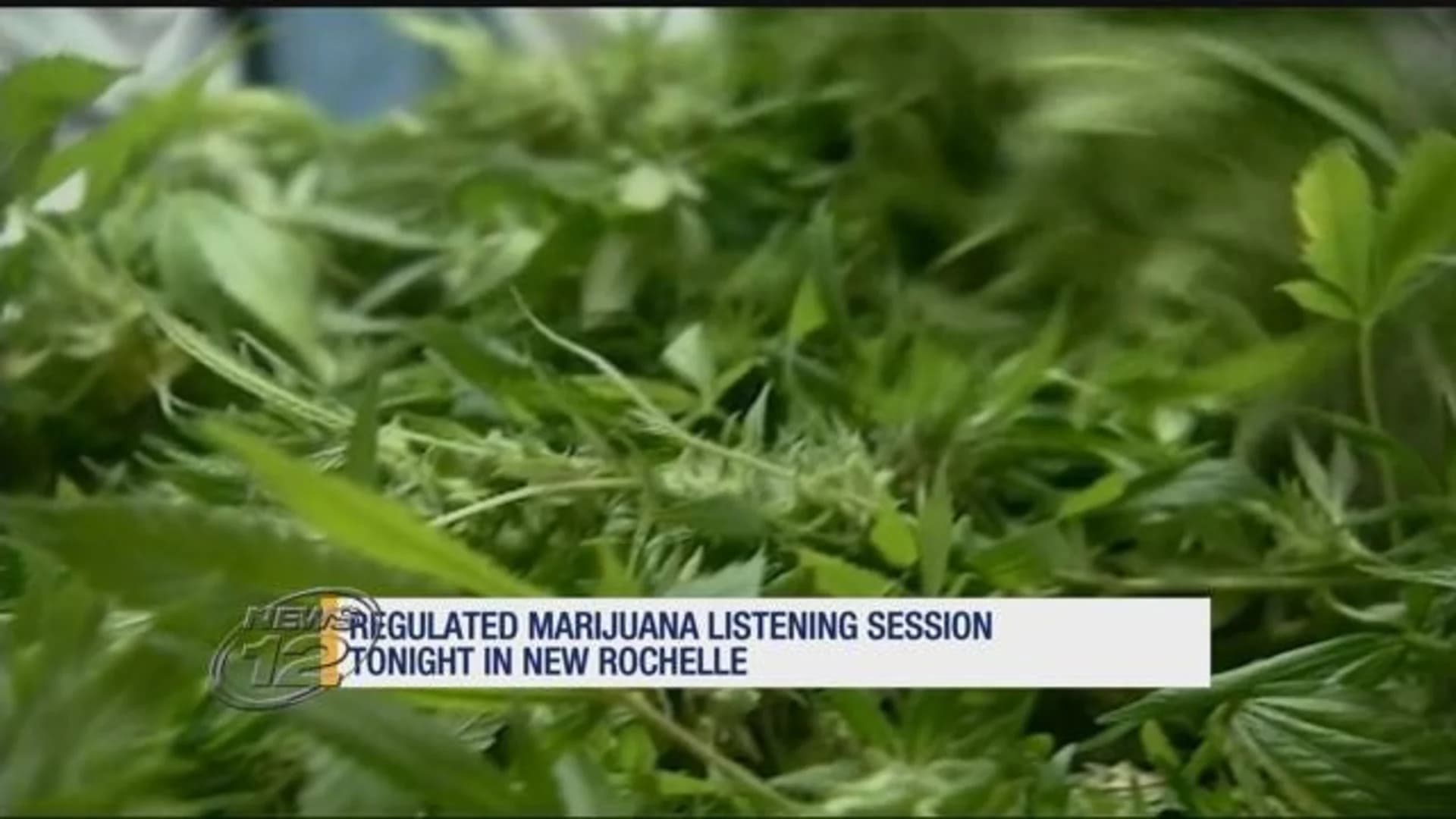 Officials hold last public listening session on legalizing, regulating marijuana