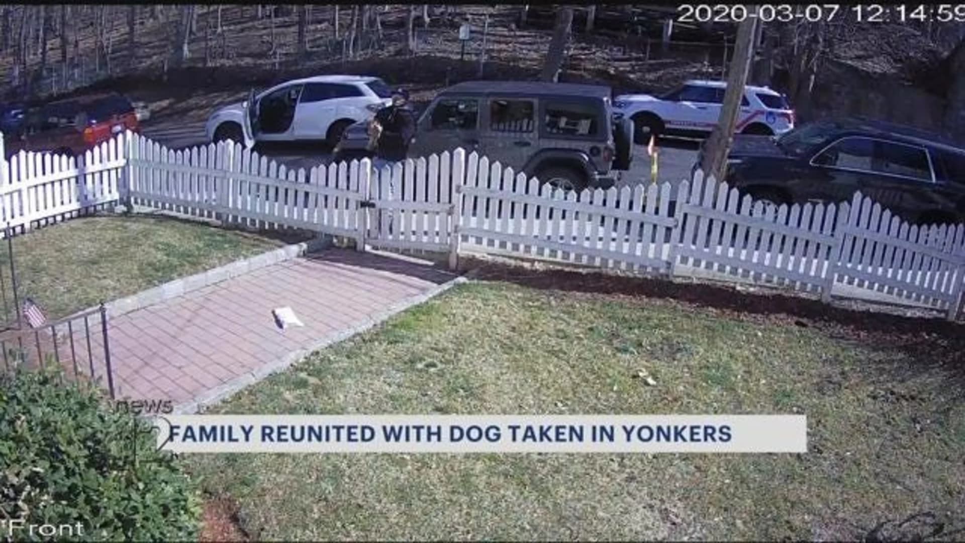 Dog returned safely in Yonkers after News 12 report