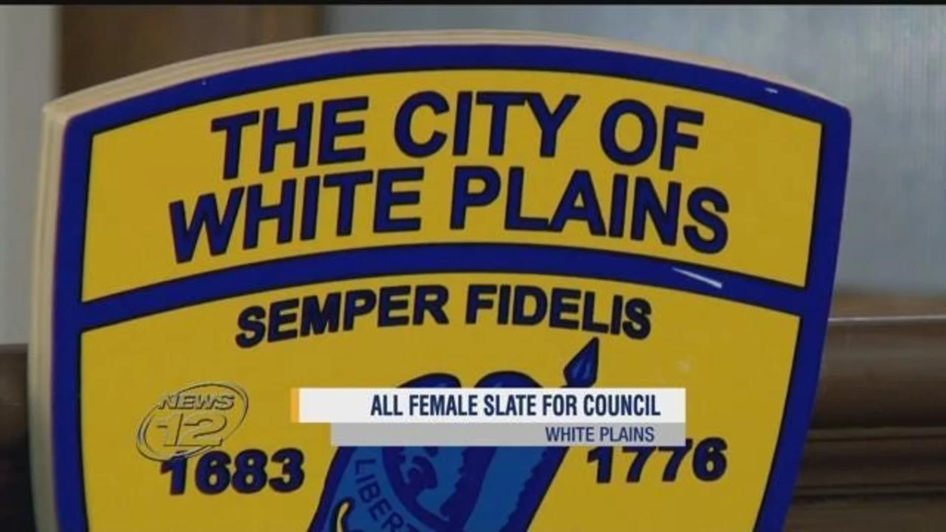 White Plains Democrats endorse all-female slate for city's Common Council
