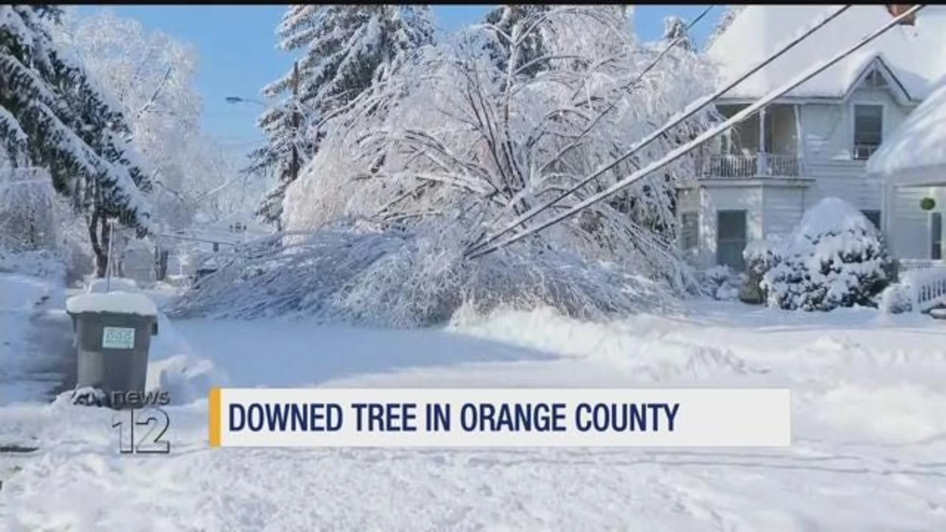 Snow-covered trees down power lines in Warwick