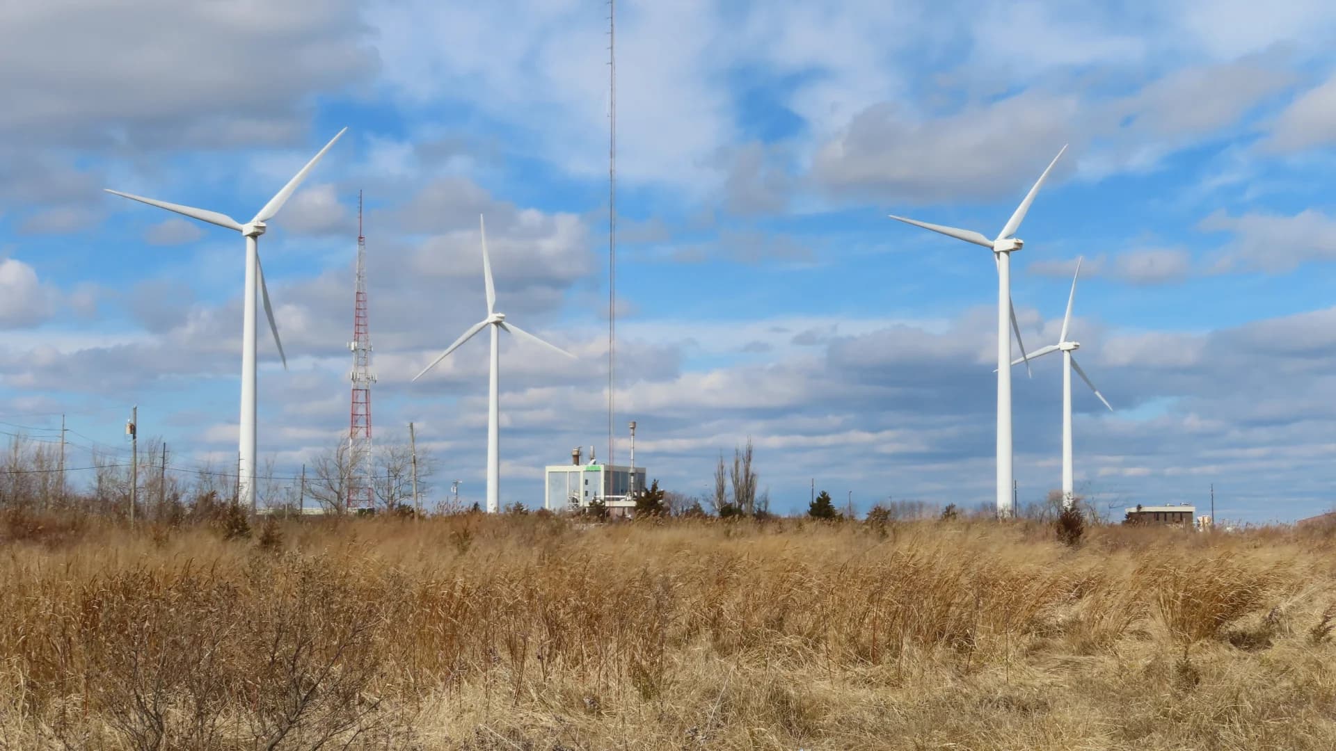 Big interest in wind energy off NY, NJ in largest US auction