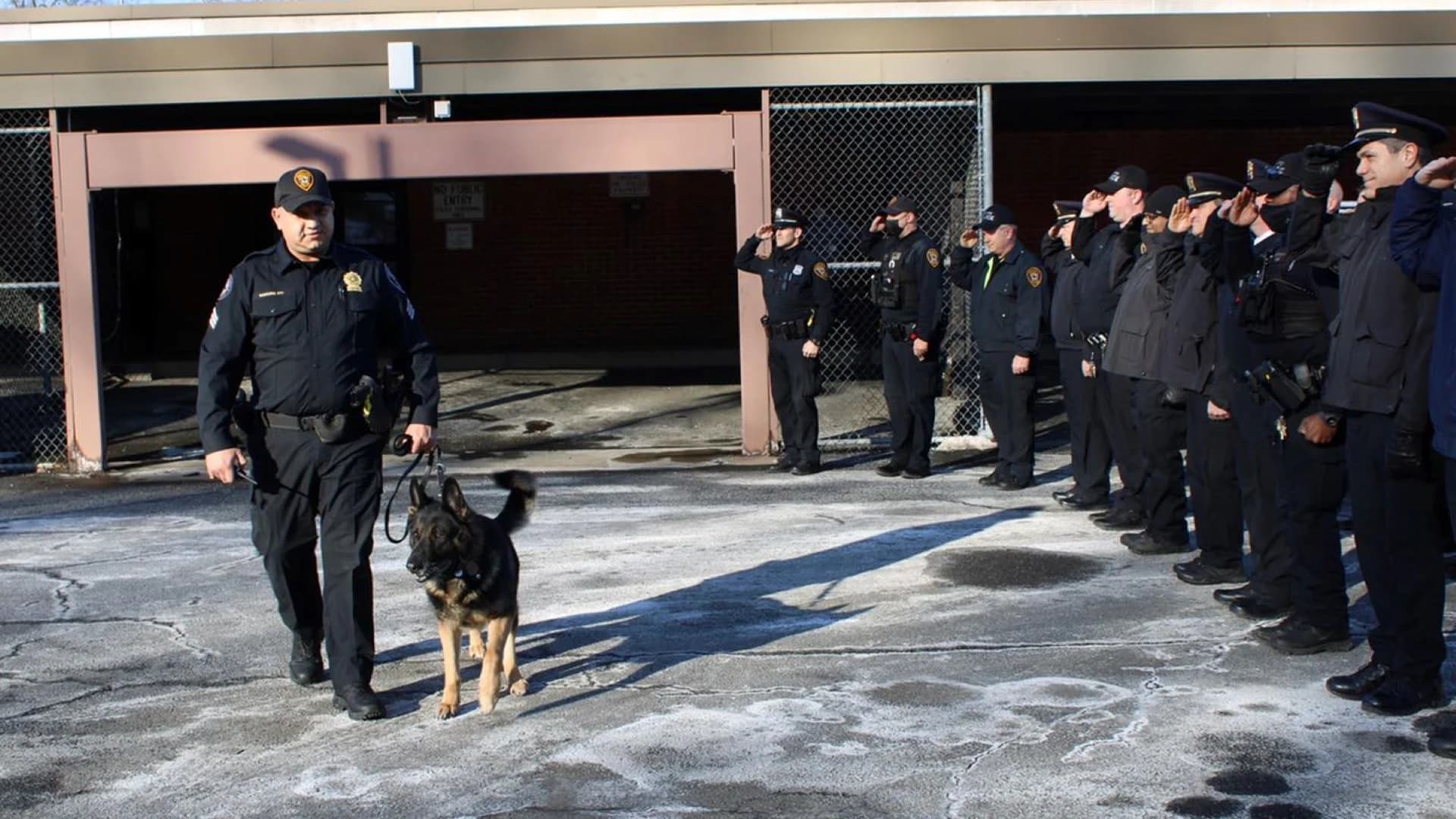 Ramapo police salute K-9 Rookie on his last tour of duty