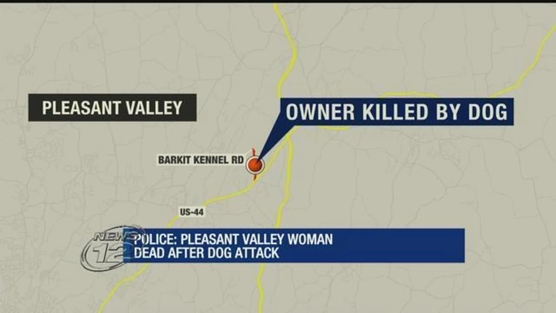 Police: Pleasant Valley woman killed by 2 of her pet dogs