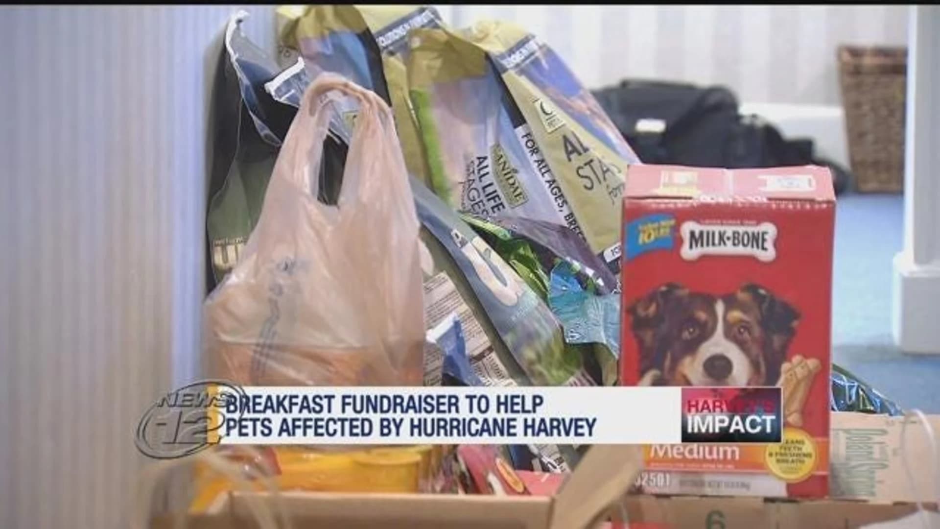 Fundraiser held in Dobbs Ferry for pets affected by Harvey