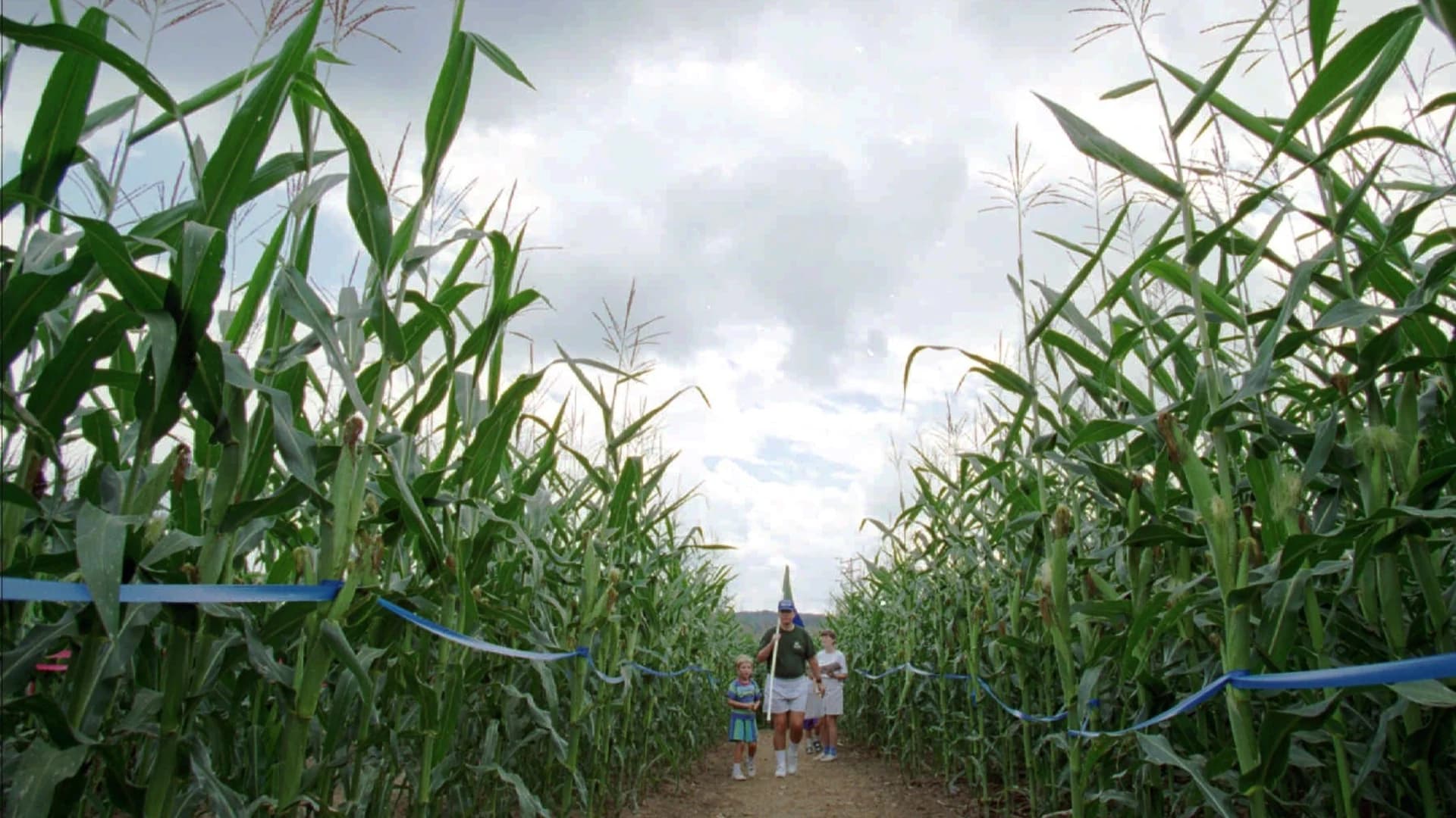 Guide: Get lost in these cornfield mazes around the Hudson Valley