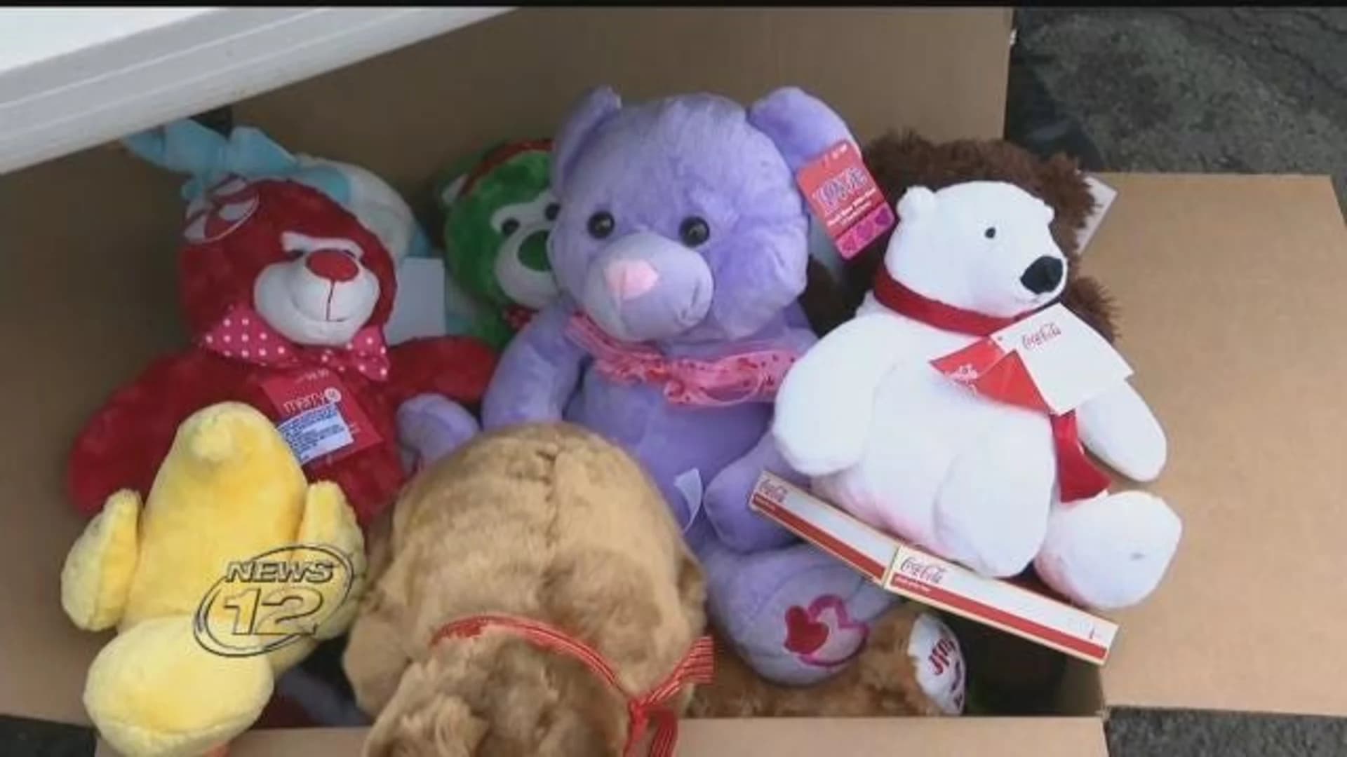 Rye Neck football team collects toys for sick children