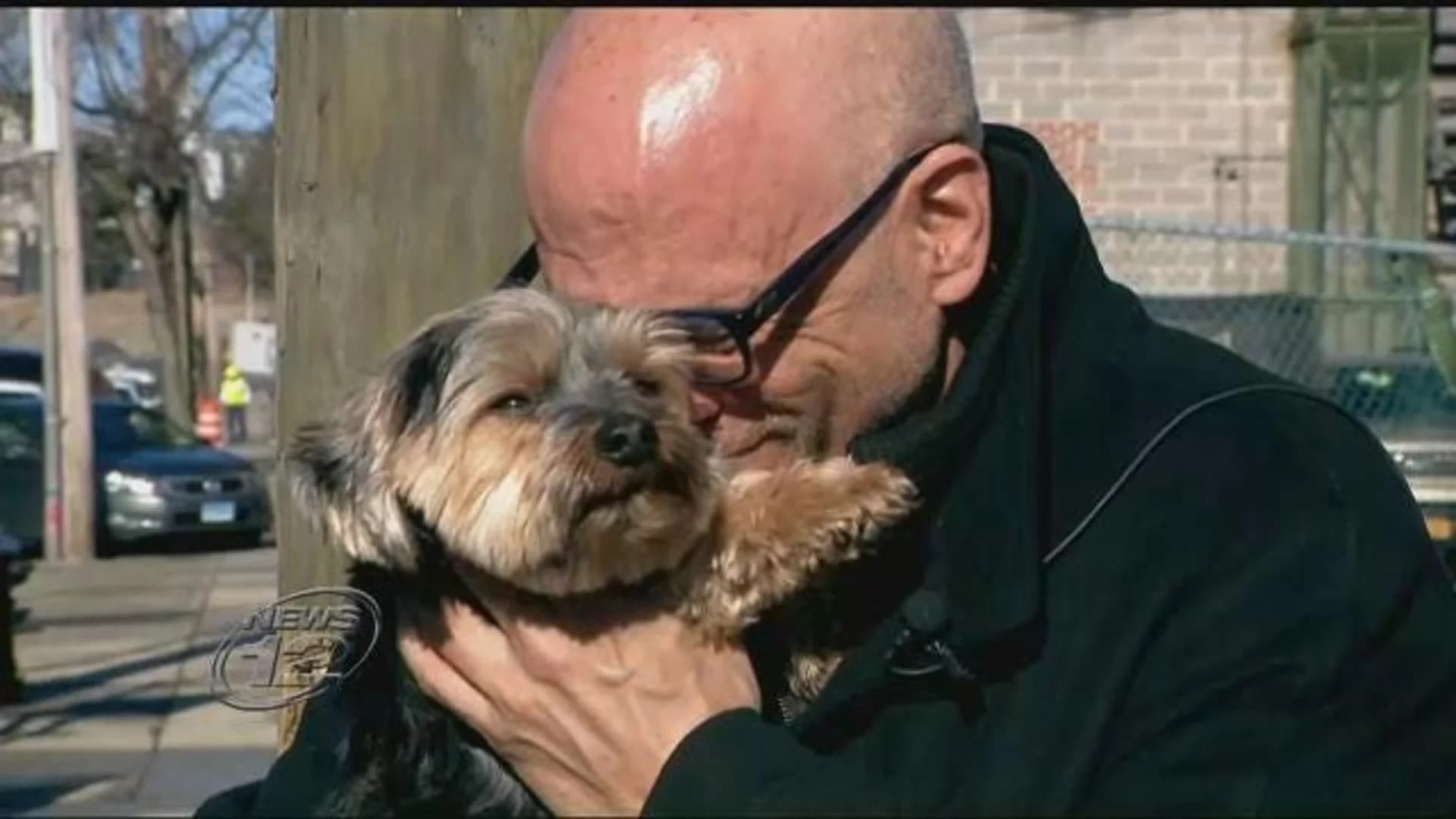Reunited: Stolen dog returns home