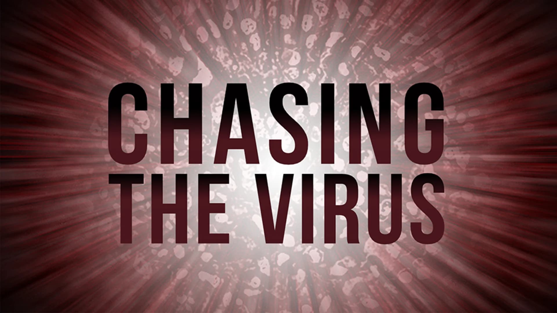 Chasing the Virus: Resources and Measles Information