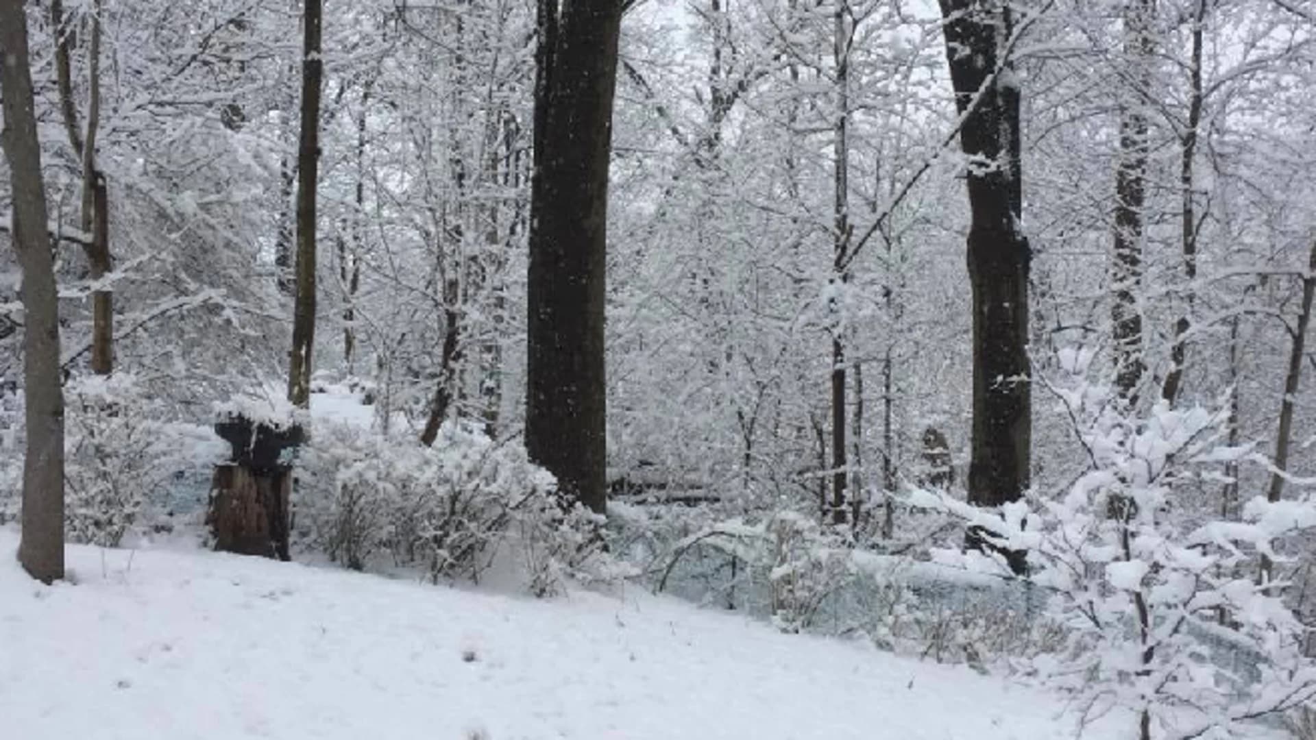 News 12's Most-Viewed: #8 - Hudson Valley avoids major hit from nor’easter